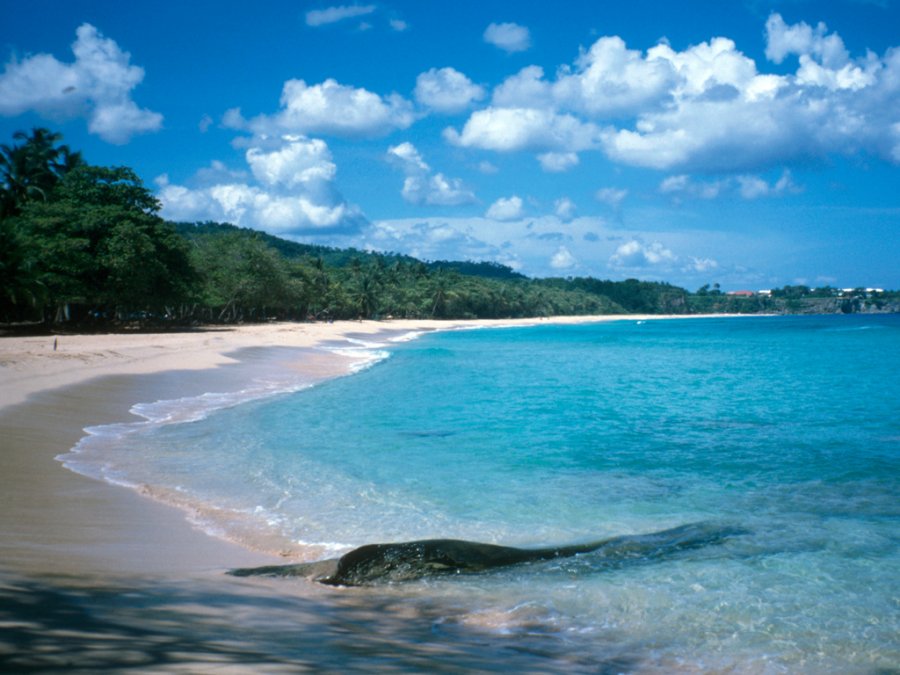 Пляжи Доминиканской республики